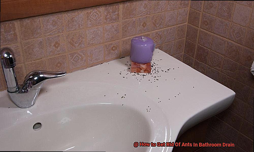 How to Get Rid Of Ants In Bathroom Drain-7